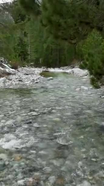 Zweef Boven Het Adembenemende Alpenlandschap Bewonder Het Winterbergwoud Meanderende Rivier — Stockvideo