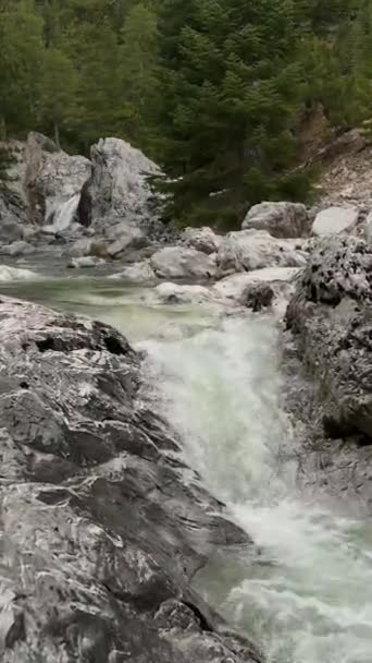 Alp Bölgesinin Ihtişamını Yaşayın Hava Manzarası Kış Ormanlarını Kıvrımlı Nehri — Stok video
