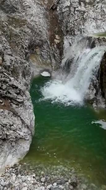 この垂直ビデオでは 冬の山の森 流れる川 滝を観察しながら 高山地域の穏やかな雰囲気に浸ることができます — ストック動画