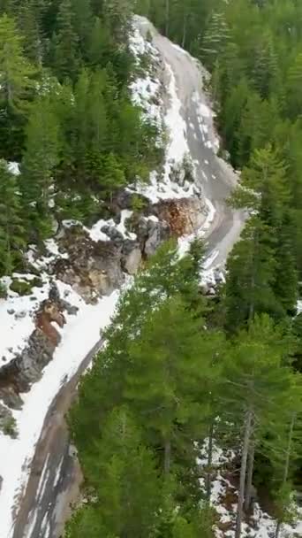 Voe Acima Floresta Turca Coberta Neve Capture Essência Cinematográfica Uma — Vídeo de Stock
