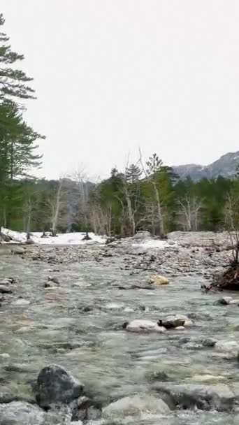 Dikey Videoda Türk Kış Ormanlarının Görkemli Dağları Akan Bir Nehir — Stok video