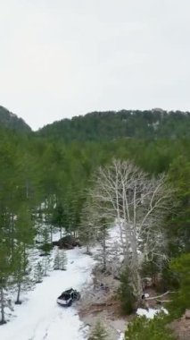 Bu dikey videoda ortaya çıkan görkemli dağların ve büyülü ormanın harikalar diyarında bir hava yolculuğuna çıkın..