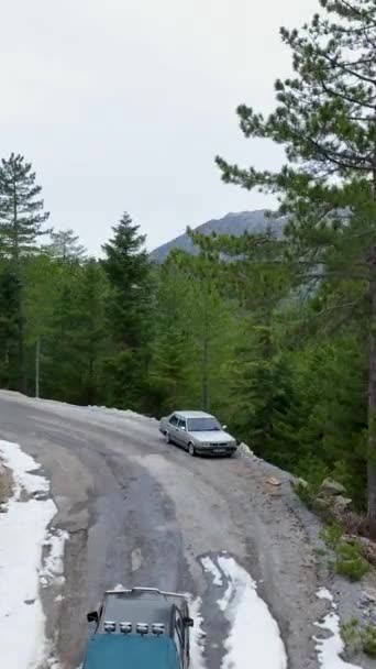 见证了冬季森林的静谧美丽 一辆皮卡优雅地驾驶着雪地的道路 在这个垂直的视频中 周围环绕着令人舒缓的绿色 — 图库视频影像