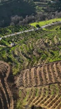 Türkiye 'nin güneyindeki büyüleyici avokado tarlalarını ve büyüleyici çiftlik evlerini keşfederken bir keşif yolculuğuna çıkın. Bölgelerin tarım mirasına havadan bir bakış açısıyla tanıklık edin.