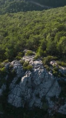 Avokado bolluğunun yetiştiği bereketli dağ tarım bölgesinin üzerinde süzülerek bu dikey videoda büyüleyici bir hava perspektifinden gelişen manzarayı yakalıyor..