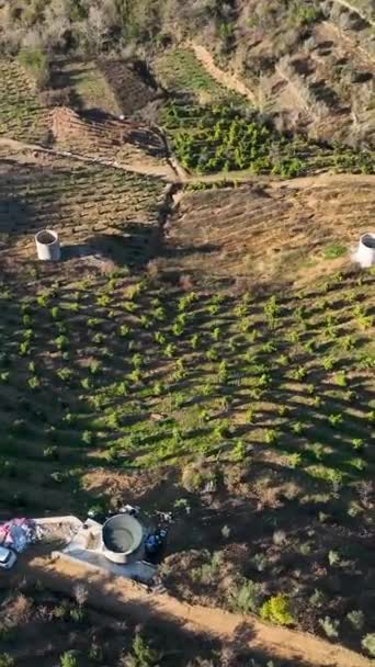南トルコの田園地帯にあるアボカド農園や牧歌的な農家の美しい風景を目の当たりにし 空中から素朴な魅力の本質を捉える — ストック動画