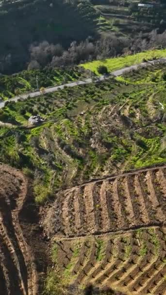 魅惑的なアボカド農園やトルコ南部の魅力的な農家を探索しながら 発見の旅に出かけましょう この地域の農業遺産を空中から見てください — ストック動画