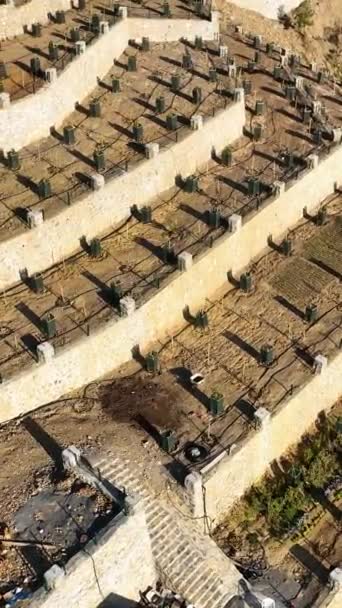 在南部山区 从空中俯瞰着广袤的鳄梨农场和古朴的农舍 从中可以看到迷人的景象 — 图库视频影像