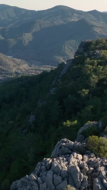 Udforsk Den Maleriske Bjerglandbrugsområde Hvor Imponerende Mængde Avocado Blomstrer Fanger – Stock-video