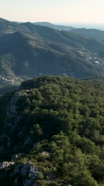 Βυθιστείτε Στη Γεωργική Αφθονία Καθώς Θαυμάζετε Την Ευημερούσα Ορεινή Περιοχή — Αρχείο Βίντεο