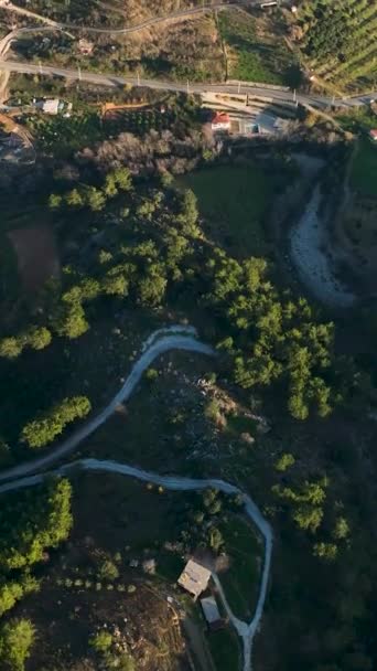 Yükselen Zengin Dağ Tarım Bölgesinin Üzerinde Bol Miktarda Avokado Yetişir — Stok video