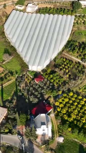 緑豊かな庭園と豊かな若い木が魅力的な垂直ビデオで見るための観光スポットを作成し 豊かな山アボカド農業地域を通って空中の旅に出る — ストック動画