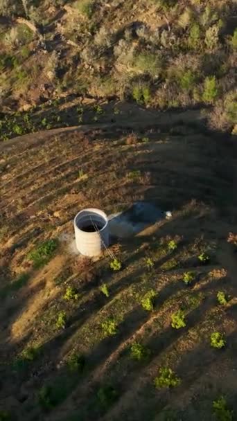 Admirez Les Villages Agricoles Verts Haut Avec Leurs Charmantes Maisons — Video