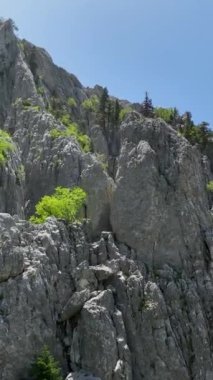 Bu dikey videoda gizli patikalar ve kıvrılan nehirler keşfederken kendinizi büyüleyici ormanlık alana daldırın..