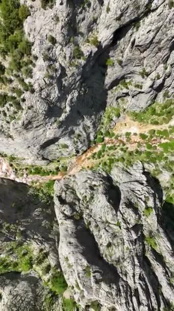 Yukarıdan Heyecanlı Bir Yürüyüş Deneyimi Yaşayın Bir Dron Dikey Videoda — Stok video