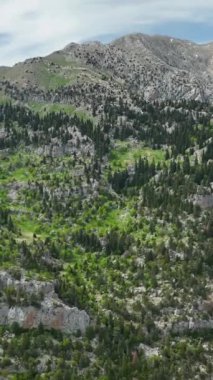 Huşu uyandıran dağ manzaralarının seni soluksuz bırakmasına izin ver, yeşilin canlı gölgeleri bu büyüleyici dikey videoda sahneyi boyasın..