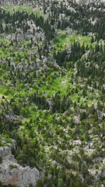 Обійми Дослідження Зелених Гірських Хребтів Природа Сяючої Кольорової Палітри Відкриває — стокове відео