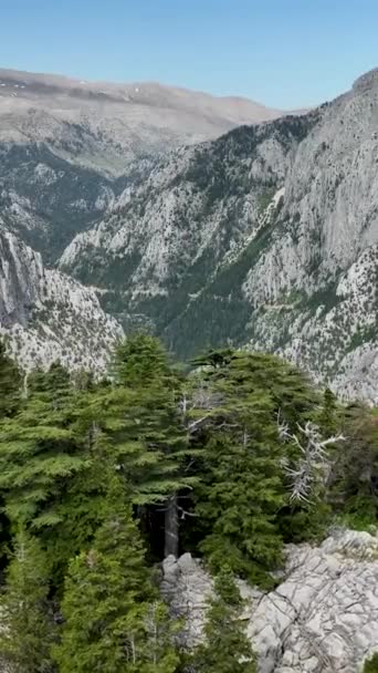 Отправляйтесь Захватывающее Путешествие Зеленые Вершины Природа Изумрудного Рая Ждет Предлагая — стоковое видео