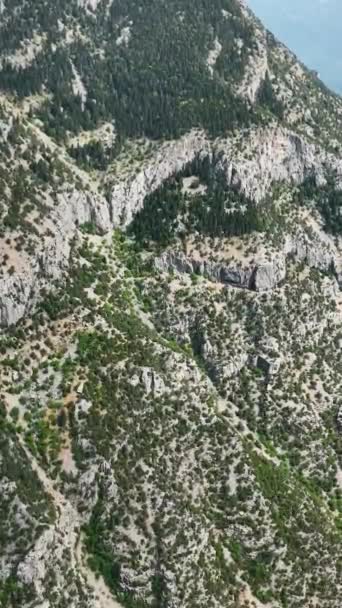 Свідок Вражаючий Вид Гірських Хребтів Перетворився Зелений Лісовий Притулок Пофарбований — стокове відео
