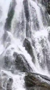 Bir şelalenin büyüleyici güzelliğini hava perspektifinden yakalayın. Sinema robotları tarafından tamamlanmış. Sıvı hareketler ve büyüleyici görüntüler izleyicilerinizi...