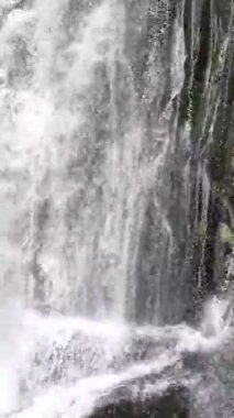 Çok ziyaret edilen bir turistik bölgede havadan çekilen muhteşem bir şelalenin hayranlık uyandıran görüntüsüne bakın. Doğal mucizenin seyircilerinizi büyülemesine izin verin.