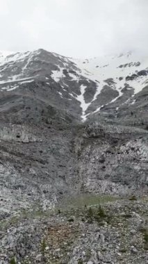 Esrarengiz bir dağ ormanının havadan keşfine çıkın. Doğanın iyi korunmuş sırlarını açığa çıkarın. Dikey videonuzda yemyeşil ormanın özünü yakalayın.