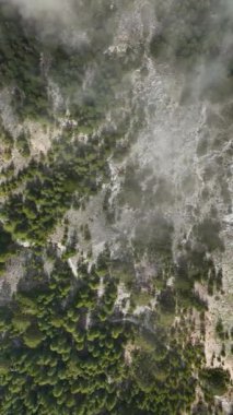 Kendini yemyeşil ormanlarla çevrili karla öpülmüş bir dağ vadisine bırak. Manzaranın sakin güzelliğinin dikey videonuzu geliştirmesine izin verin..
