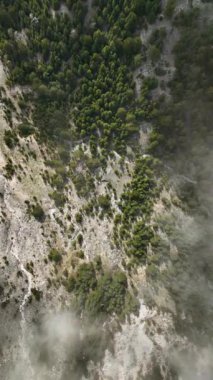 Bu büyüleyici dikey videoda kendinizi bir dağ vadisine daldırın. Görkemli karlı tepelere ve kuş bakışı yemyeşil ormanlara tanık olun..