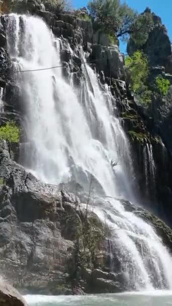 Vídeo Vertical Maravilha Cachoeira Vista Aérea Uma Cascata Tirar Fôlego — Vídeo de Stock