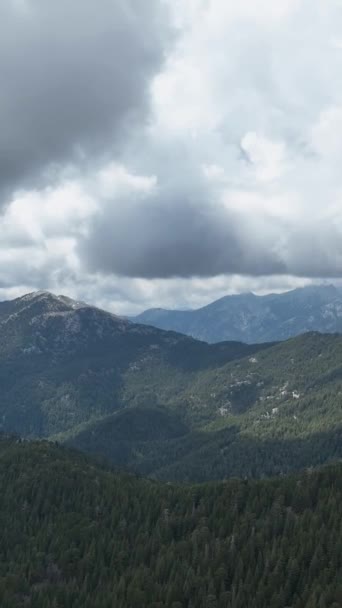 Experimente Tranquilidade Uma Floresta Montanha Através Vistas Aéreas Inspiradoras Deixe — Vídeo de Stock