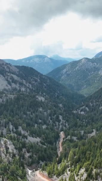 Отправляйтесь Воздушное Путешествие Лесным Горам Захватывая Красоту Природы Пусть Серость — стоковое видео