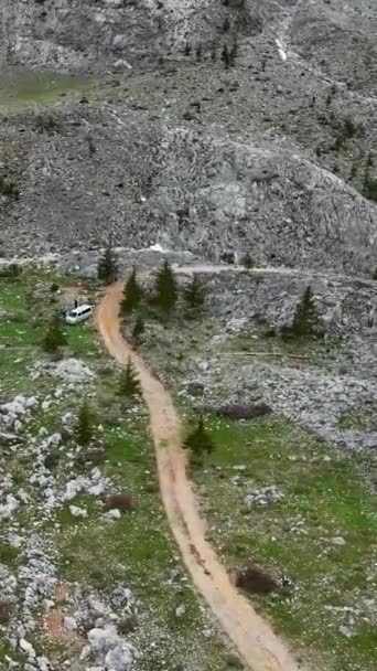 Dyk Ned Omfavnelsen Grøn Bjergskov Gennem Panoramaudsigt Fra Luften Lad – Stock-video