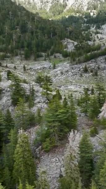 从高山森林荒原的空中俯瞰来体验大自然的雄伟美丽 在你的垂直视频中捕捉高耸的山峰和郁郁葱葱的绿叶的壮丽景象 — 图库视频影像