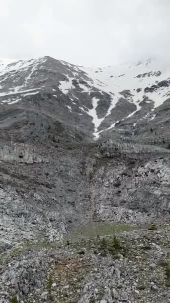 Begeben Sie Sich Auf Eine Luftige Erkundung Eines Rätselhaften Bergwaldes — Stockvideo