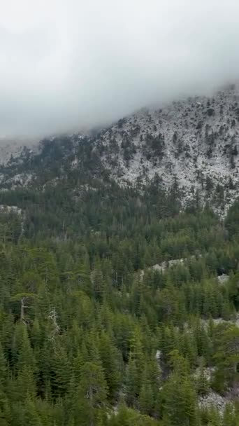 开始对宏伟的高山风景进行空中探险 在这个垂直的视频中捕捉壮丽的雪峰和森林生机勃勃的绿叶 — 图库视频影像