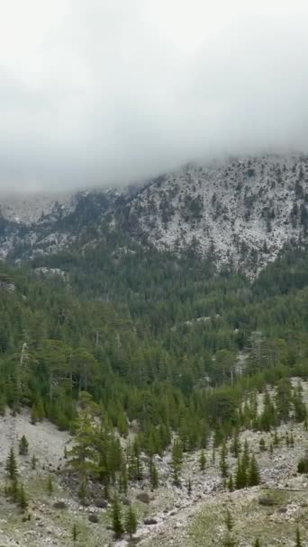 在这个垂直的视频中 你可以看到白雪覆盖的山峰和茂密的青翠森林的壮观的空中景象 沉醉在山水的宁静中 — 图库视频影像