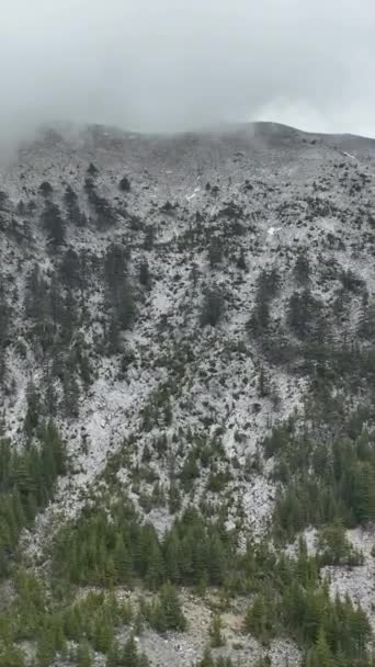退回到雪山景观的宁静中 那里原始的白峰与茂密的绿色森林相交 让这个垂直的视频把你带到一个和平的世界 — 图库视频影像