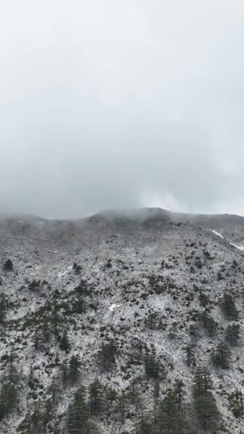 Karla Kaplı Tepeler Yeşil Bir Ormanın Nefes Kesici Bir Sahne — Stok video