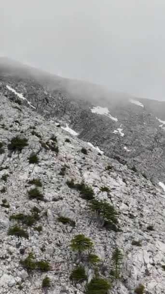 Aproveite Panorama Arrebatador Uma Vista Montanha Com Seus Picos Nevados — Vídeo de Stock