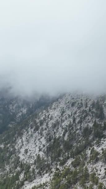 从空中的角度捕捉高山山谷迷人的美景 让白雪覆盖的山峰和青翠的森林为你的垂直视频创造一个令人惊叹的视觉背景 — 图库视频影像