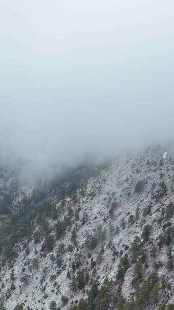 在一个宏伟的高山山谷进行空中探险 展示雪峰和生机勃勃的绿色林地的辉煌 让大自然的宏伟激励你的垂直视频 — 图库视频影像