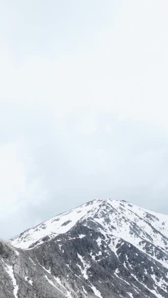 透过迷人的空中一瞥 见证雪山山谷的冬季仙境 让雪地的原始美景提升你的垂直视频 — 图库视频影像