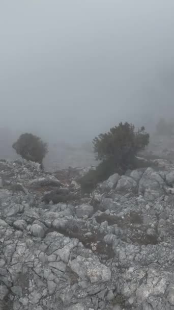 Sumérgete Espectáculo Celestial Nubes Cubriendo Majestuosos Picos Montañas Nevadas Mostrando — Vídeo de stock