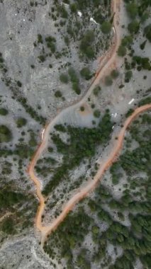 Doğanın kalbine doğru huzurlu bir yolculuğa çıkın. Bu büyüleyici dikey videoda nefes kesici bir hava manzarasından sergilenen dağlık gizemli ormanı keşfedin..