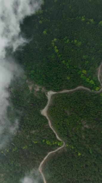 Büyüleyici Bir Ormanın Üzerinde Gizemli Bir Patika Boyunca Süzülürken Dikey — Stok video