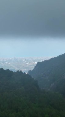 Bu dikey videoda nemli yeşil ormanda büyüleyici bir hava yolculuğuna çıkın. Yağmur damlalarının yapraklara yapışıp çevreye hayat vermesine tanık olmak doğanın yeniden canlanmasına neden olur..