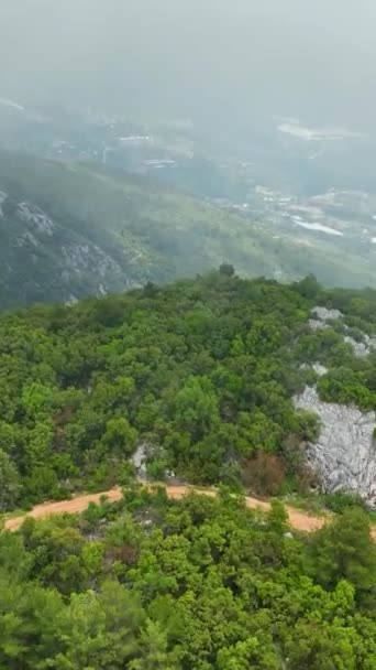 Büyüleyici Dikey Videoda Hava Perspektifinden Çiğ Bezeli Yeşil Kubbeye Şahit — Stok video