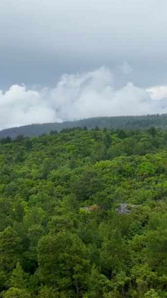 Dig Lugn Resa Genom Regnkysst Grön Skog Som Äventyrliga Resenärer — Stockvideo
