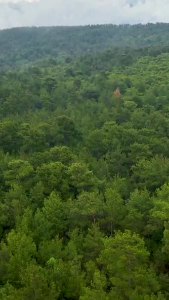 Utforska Den Filmiska Skönheten Ett Regnfräscht Grönt Landskap Ett Flygperspektiv — Stockvideo