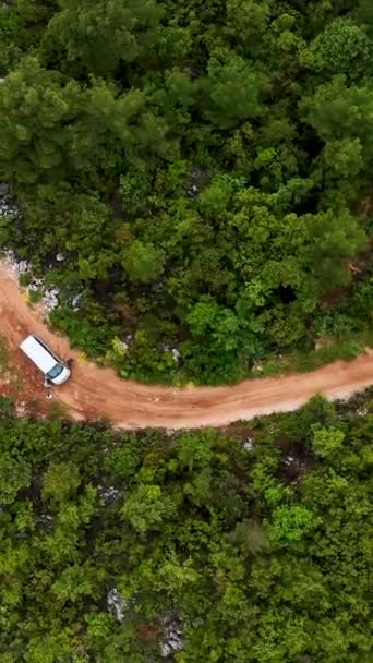 Maceracılar Büyüleyici Dikey Videoda Manzarayı Dolaşırken Yağmurun Tazelenmiş Yeşilliğin Doğal — Stok video